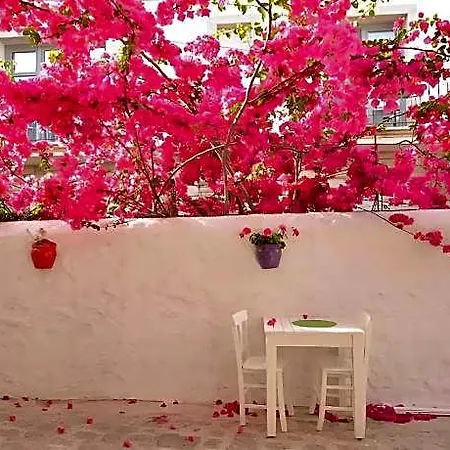 Hotel Alayaz