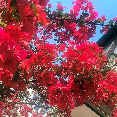 Alayaz Hotel Çeşme